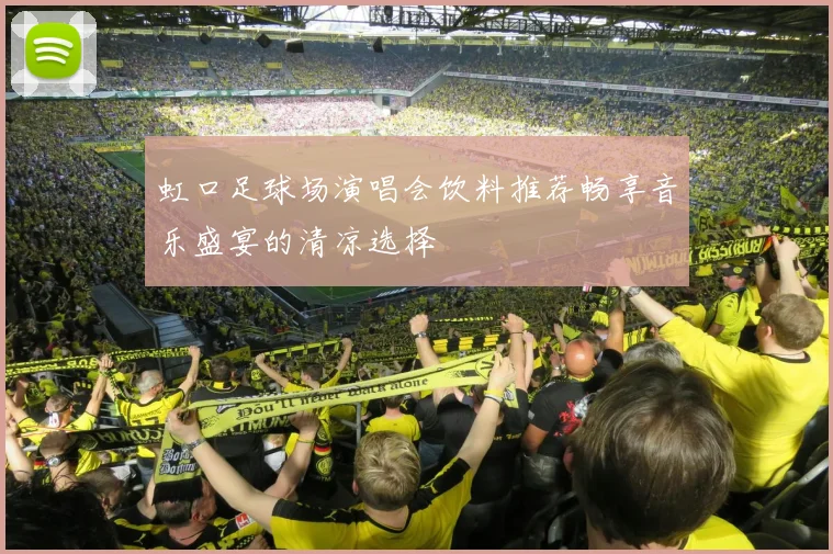 虹口足球场演唱会饮料推荐畅享音乐盛宴的清凉选择