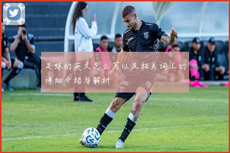 足球的英文怎么写以及相关词汇的详细介绍与解析